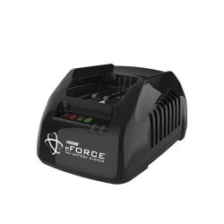 ECHO DLM-2100C2 eFORCE 56V 21" Battery Lawnmower w/ 5.0 Ah Battery & Standard Charger - ECH DLM-2100C2