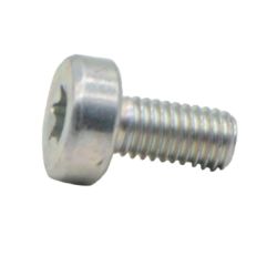 ECHO V805000130 M5 X 10 T27 Screw 
