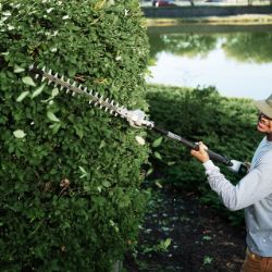 EGO HTX5310-P Commercial 21" 56V Extended Pole Hedge Trimmer Tool Only (42" Shaft Length) - EGO HTX5310-P