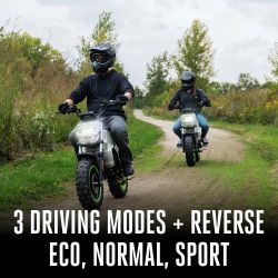 EGO MB1000 POWER+ 56V Mini Bike (Tool Only) - EGO MB1000