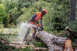Husqvarna 967690938 550XPG II 50.1cc Gas Engine Chainsaw w/ 18" Bar & Heated Handles - HUS 967690938