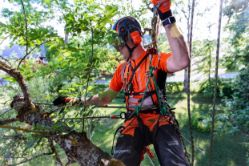 Husqvarna 967893972 12" Battery-Powered Top Handle Chainsaw (Tool Only) - HUS 967893972