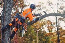 Husqvarna 967893972 12" Battery-Powered Top Handle Chainsaw (Tool Only) - HUS 967893972
