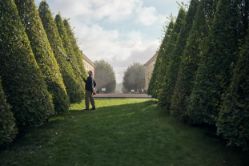 Husqvarna 967971204 520iHT4 36V Battery 22" Telescopic Pole Hedge Trimmer (Tool Only) - HUS 967971204