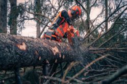 Husqvarna 970493152 592 592XP 92.7cc Gas Chainsaw w/ 32" Bar - HUS 970493152