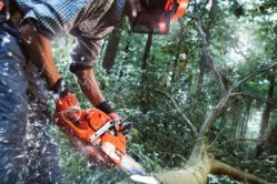 Husqvarna 970501404 555 18" 59.8cc Professional Gas Chainsaw - HUS 970501404