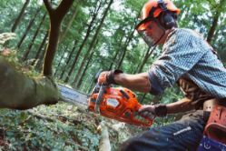 Husqvarna 970501404 555 18" 59.8cc Professional Gas Chainsaw - HUS 970501404