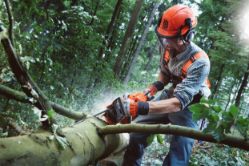 Husqvarna 970501408 555 24" 59.8cc Professional Gas Chainsaw - HUS 970501408