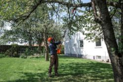 Husqvarna 970516001 120iTK4-P Battery Powered Telescopic Pole Saw (Tool Only) - HUS 970516001