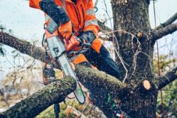 Husqvarna 970666317 T542iXP 12" 40V Battery-Powered Top Handle Chainsaw Kit w/ Battery & Charger - HUS 970666317