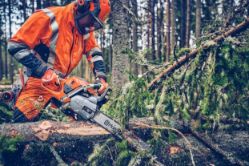 Husqvarna 970696724 562XP Mark II 59.8cc Professional Gas Chainsaw w/ 24" Bar - HUS 970696724