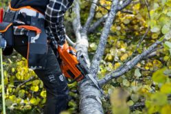 Husqvarna 970709038 445S 50.2cc 18-Inch Gas Chainsaw w/ X-Torq Engine & Smart Start - HUS 970709038