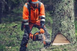 Husqvarna 970711508 564XP Fuel-Injected 62.4cc 18-Inch Professional Gas Chainsaw - HUS 970711508