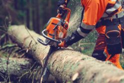 Husqvarna 970711510 564XP Fuel-Injected 62.4cc 24-Inch Professional Gas Chainsaw - HUS 970711510