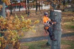 Husqvarna 970851816 550i XP 40V 16-Inch Professional Battery Chainsaw Kit w/ Battery & Charger - HUS 970851816