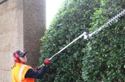 Maruyama EH230DSL 24" Extended-Reach Double-Sided Gas Hedge Trimmer w/ 22.5cc 2-Cycle Engine - MARU EH230DSL