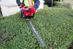Maruyama H23DFL 30" Double-Sided Gas Hedge Trimmer w/ 22.5cc 2-Cycle Engine - MARU H23DFL