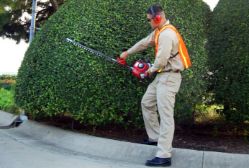 Maruyama H23FL 40" Single-Sided Gas Hedge Trimmer w/ 22.5cc 2-Cycle Engine - MARU H23FL