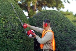 Maruyama H23FL 40" Single-Sided Gas Hedge Trimmer w/ 22.5cc 2-Cycle Engine - MARU H23FL