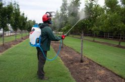 Maruyama MS40LI 3.9-Gallon 18V Lithium-Ion Battery-Powered Backpack Sprayer - MARU MS40LI