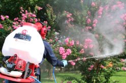 Maruyama MS75 6.6-Gallon Gas-Powered Backpack Sprayer - MARU MS75