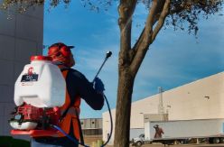 Maruyama MS75 6.6-Gallon Gas-Powered Backpack Sprayer - MARU MS75