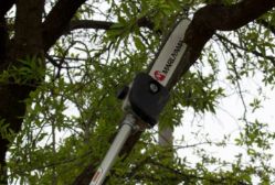 Maruyama PS300 10" Commercial Pole Pruner w/ 30.1cc 2-Cycle Engine - MARU PS300