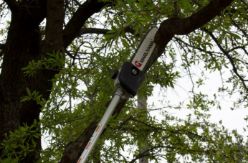 Maruyama QC-PL10 Quick-Connect Pole Pruner Attachment w/ 10" Bar & 59" Shaft - MARU QC-PL10