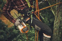 STIHL AP 200 P 36V Lithium-Ion Battery - STI AP 200 P