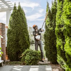 STIHL HL 56 27.2cc Low-Emission Gas-Powered Extended Hedge Trimmer - STI HL 56