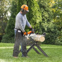 STIHL MS 162 16 30.1cc 16" Gas-Powered Single Lever Operated Chainsaw w/16" Bar & Chain - STI MS 162 16