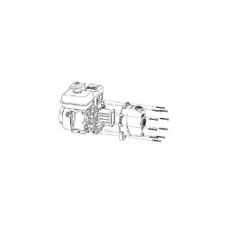 SnowEx TPS-200 Gas Engine Transfer Pump - TRY TPS-200