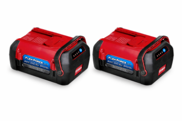 Toro 66810 X2 Pack of 2 Special - 60V Max Flex-Force 10.0 Ah Lithium-Ion Battery 