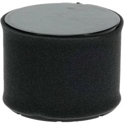 Stens 100-018 Air Filter Combo 