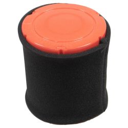 Stens 100-025 Air Filter Combo 