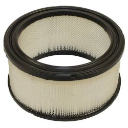Stens 100-065 Air Filter 