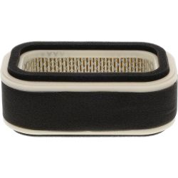 Stens 100-210 Air Filter Combo 