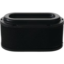 Stens 100-749 Air Filter Combo 