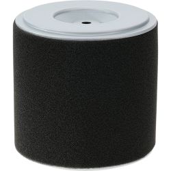 Stens 100-901 Air Filter Combo 