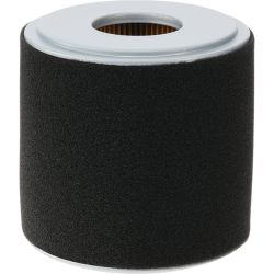Stens 100-901 Air Filter Combo - STE 100-901