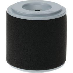 Stens 100-905 Air Filter Combo - STE 100-905