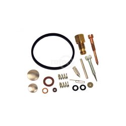Rotary 10103 Carburetor Kit 