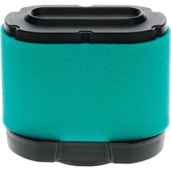 Stens 102-008 Air Filter Combo 