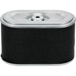 Stens 102-344 Air Filter Combo 