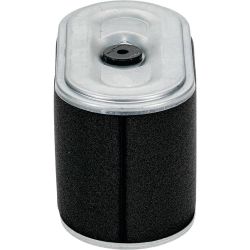 Stens 102-344 Air Filter Combo - STE 102-344