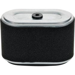 Stens 102-904 Air Filter 