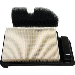 Stens 102-992 Air Filter Combo 