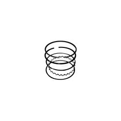 Rotary 10754 Piston Ring Set (Standard) 