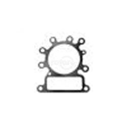 Rotary 11077 Cylinder Head Gasket 