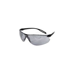 Rotary 11979 Gray Anti-Fog Safety Glasses 